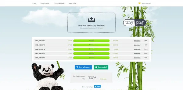 Dashboard von TINY JPG/PNG Image Optimizer