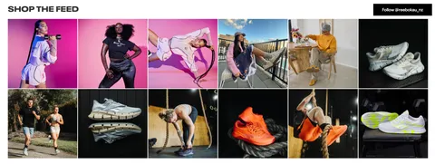 Einbau der Instafeed App auf Shopify