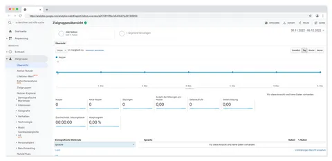 Google Analytics Zielgruppen Bericht
