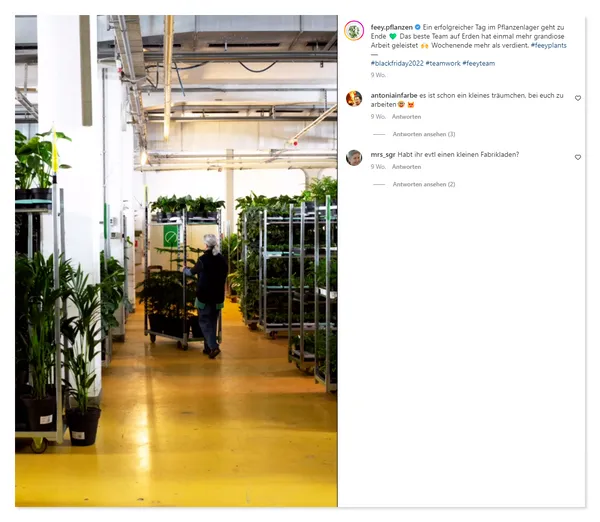 Instagram Post von feey